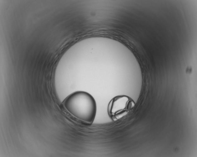 X0000113130558200909040936