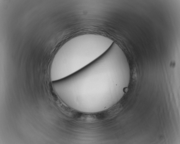 X0000113130559200909040936