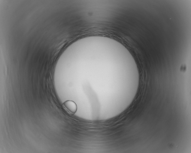X0000113130560200909040936