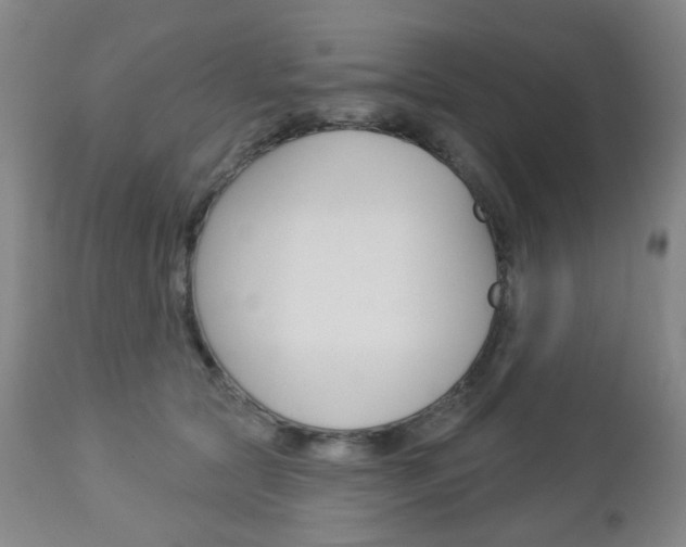 X0000113130561200909040936