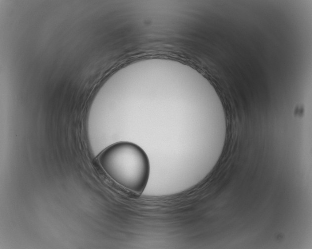 X0000113130562200909040936
