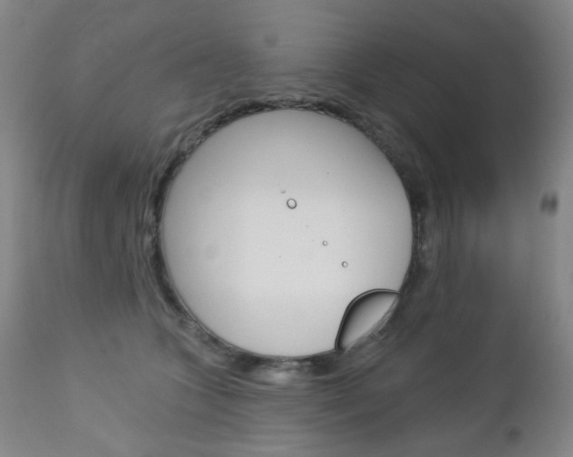 X0000113130563200909040936