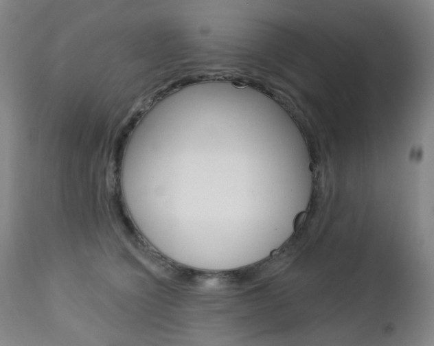 X0000113130564200909040936