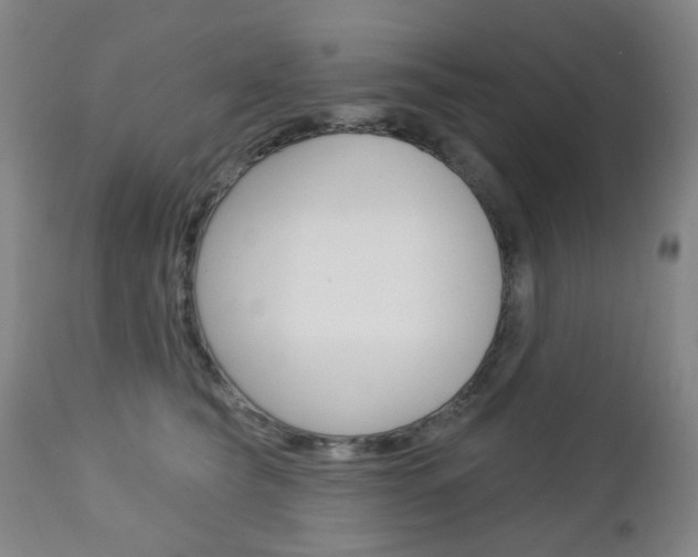 X0000113130565200909040936