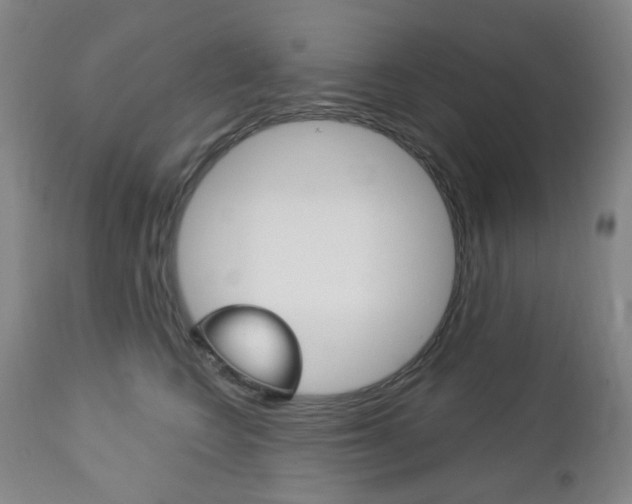 X0000113130566200909040936