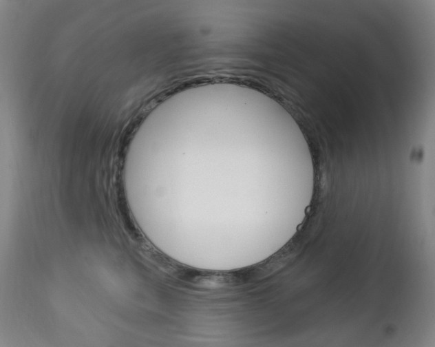 X0000113130567200909040936
