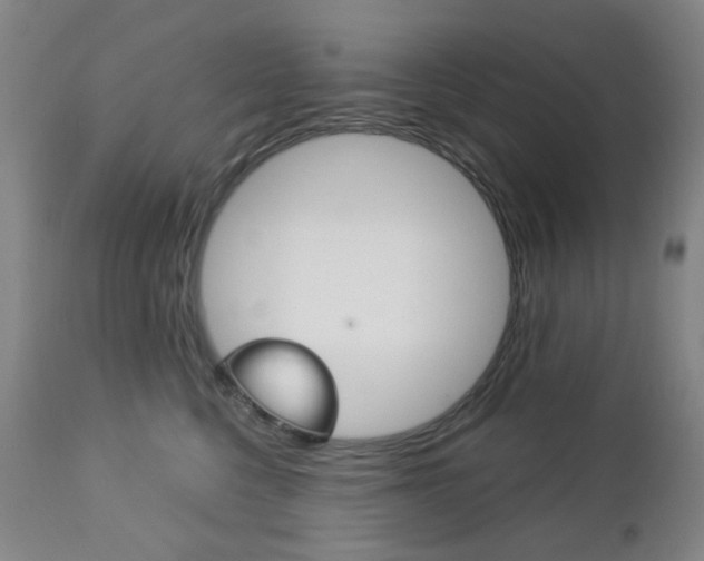 X0000113130568200909040936