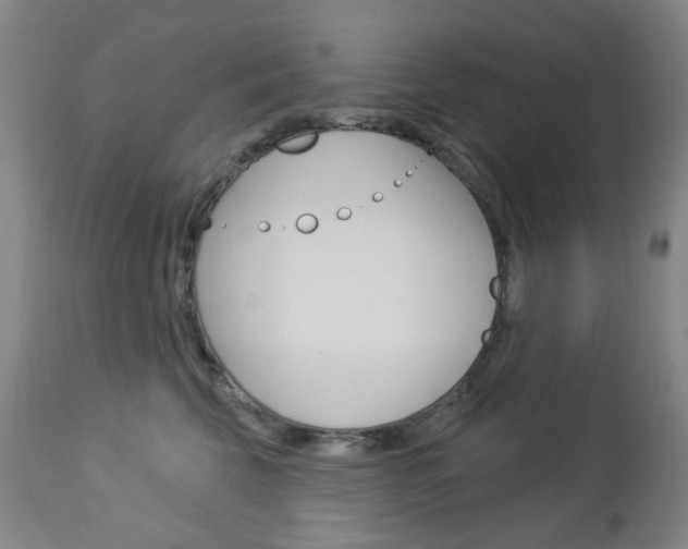X0000113130569200909040936