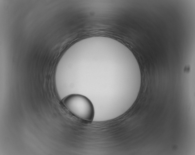 X0000113130570200909040936