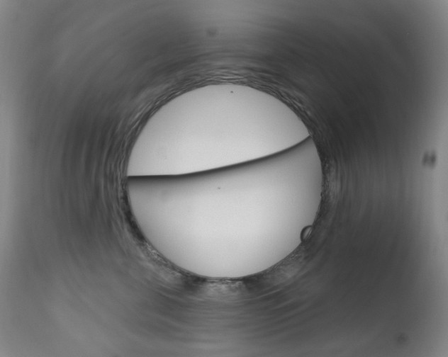 X0000113130571200909040936