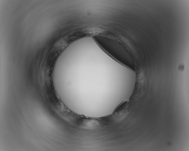 X0000113130572200909040936
