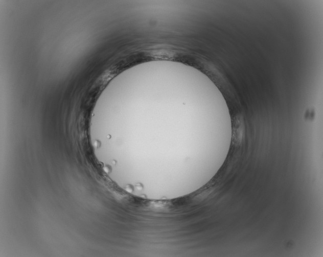 X0000113130573200909040936