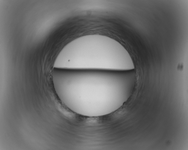 X0000113130574200909040936