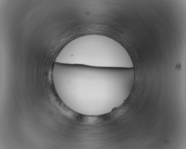 X0000113130575200909040936