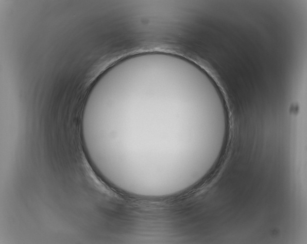 X0000113130577200909040935