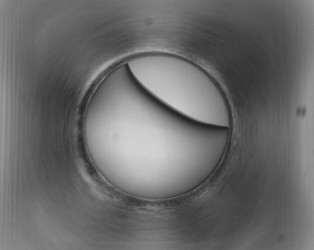 X0000113130580200909040935