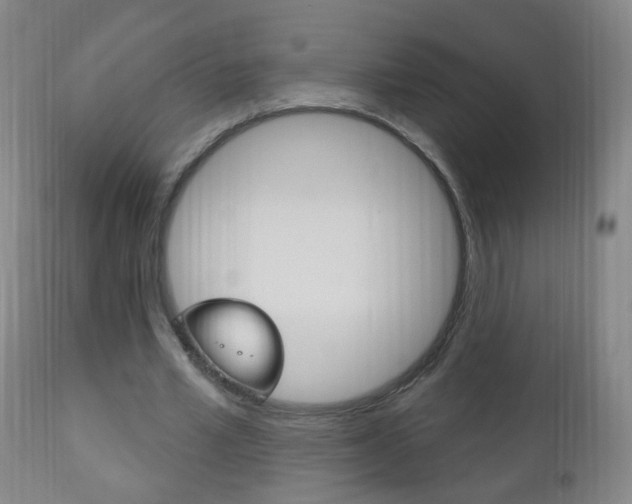 X0000113130581200909040935