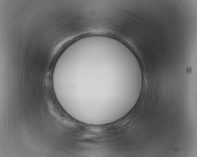X0000113130583200909040935