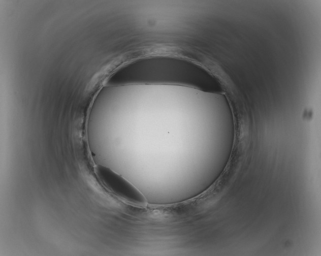 X0000113130585200909040935