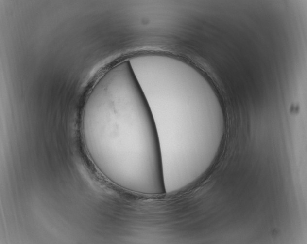 X0000113130588200909040935