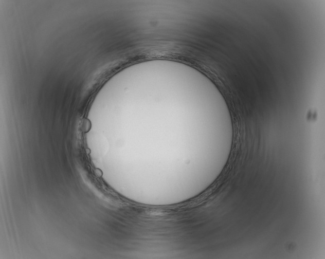 X0000113130590200909040935