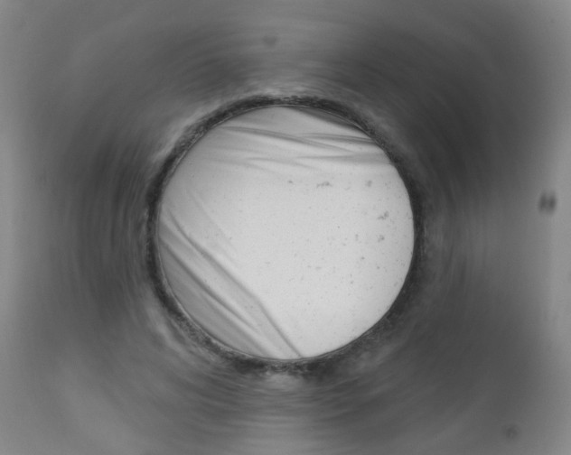X0000113130592200909040935