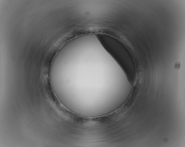 X0000113130593200909040935