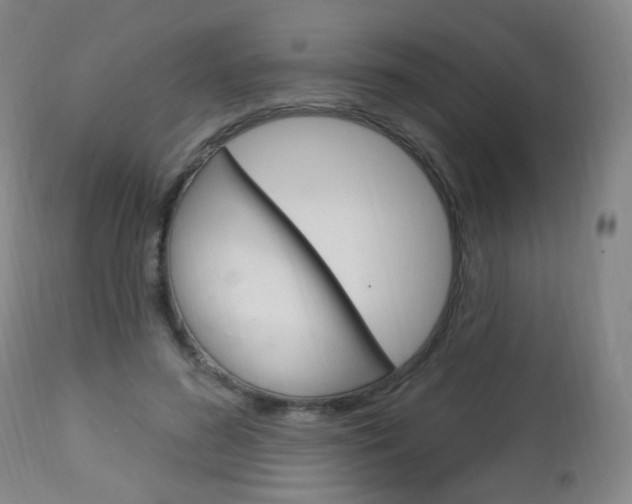 X0000113130596200909040935