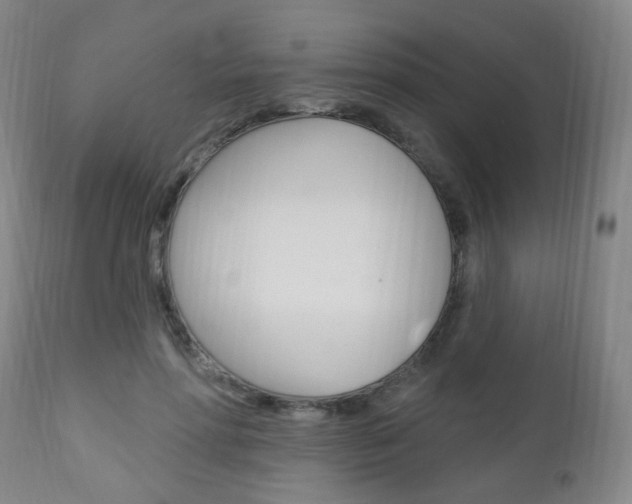 X0000113130598200909040935