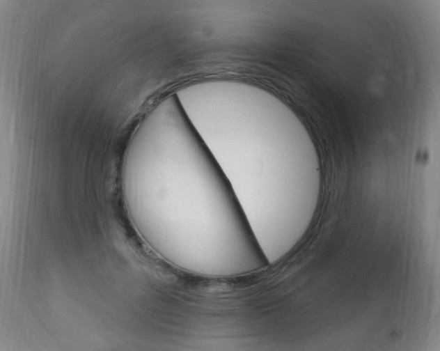 X0000113130600200909040935