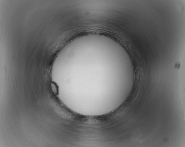 X0000113130601200909040935