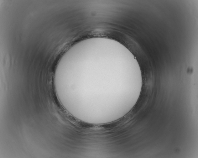 X0000113130603200909040935
