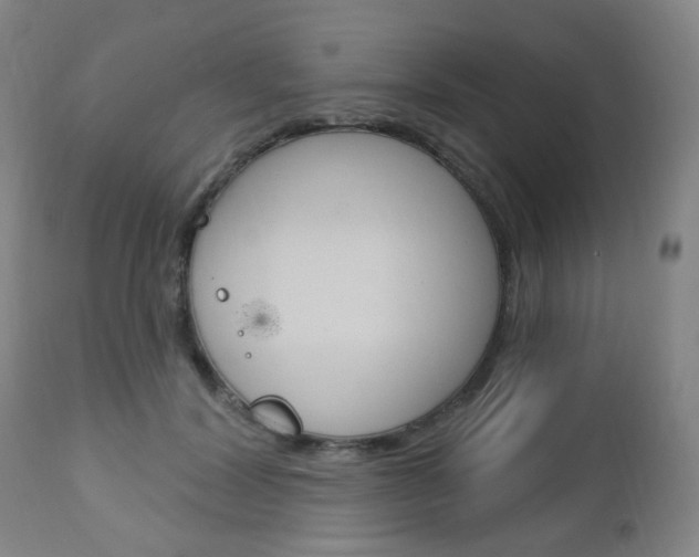 X0000113130604200909040935