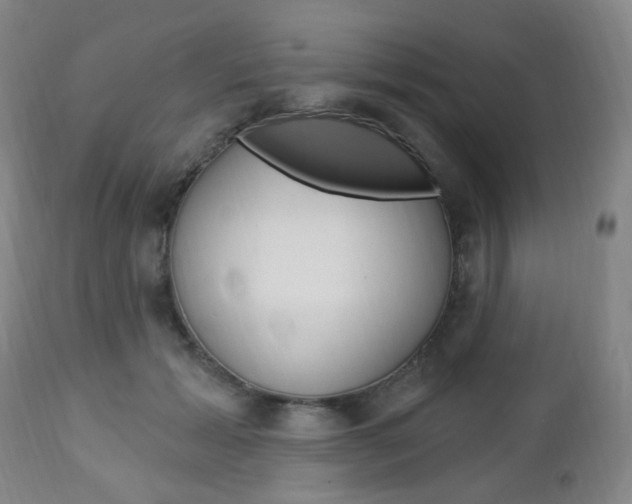 X0000113130605200909040934