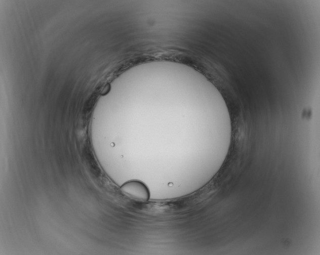 X0000113130607200909040934
