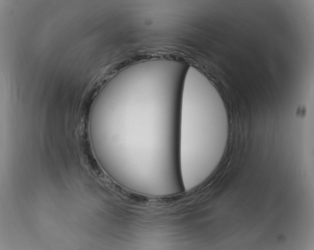 X0000113130608200909040934