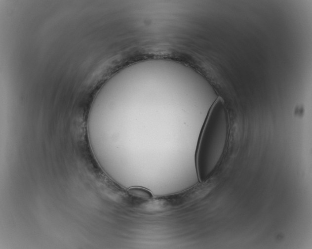 X0000113130609200909040934