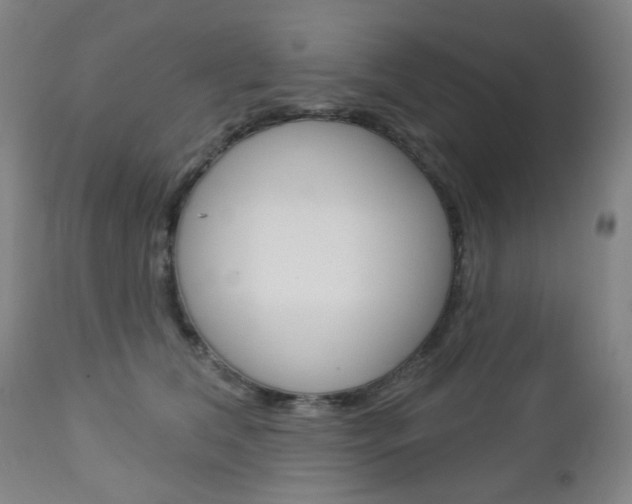 X0000113130612200909040934