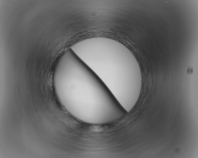 X0000113130613200909040934