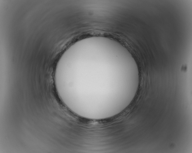 X0000113130616200909040934