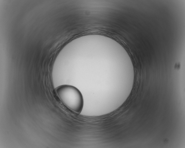 X0000113130617200909040934