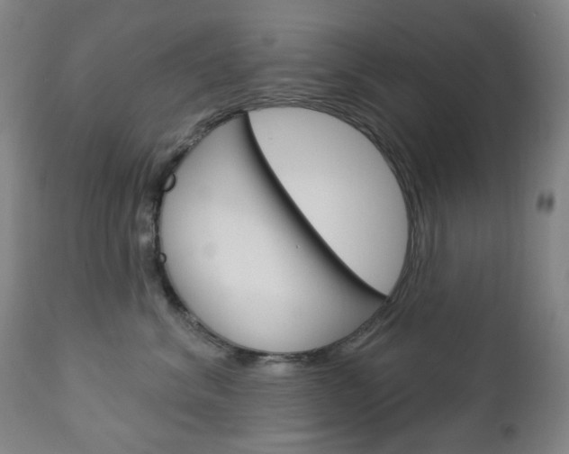 X0000113130620200909040934