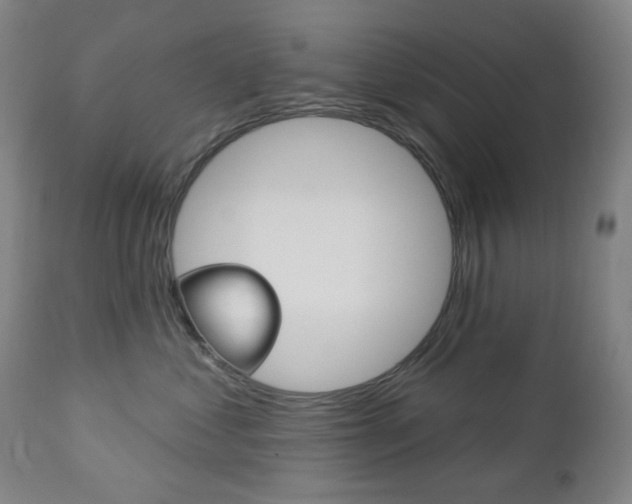 X0000113130621200909040934