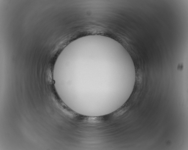 X0000113130622200909040934
