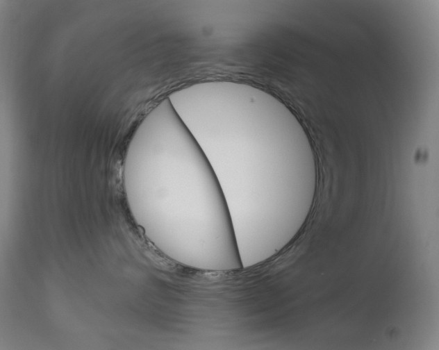 X0000113130624200909040934
