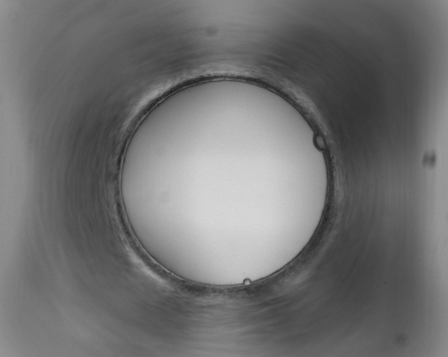 X0000113130625200909040933