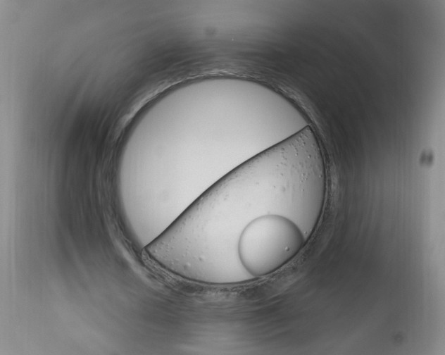 X0000113130626200909040933