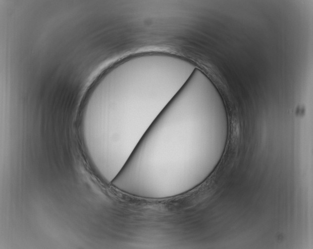 X0000113130628200909040933