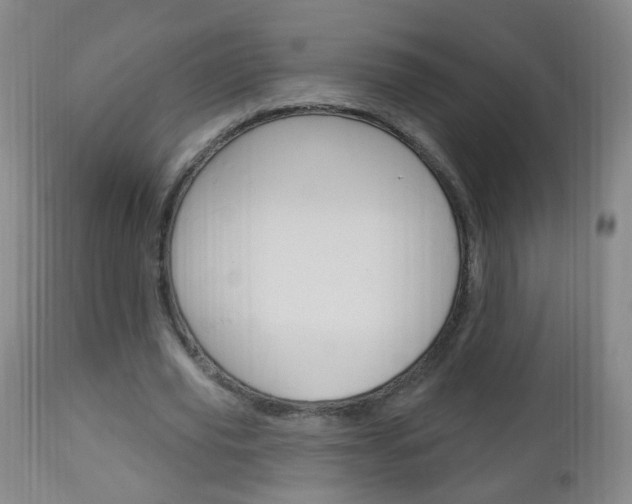 X0000113130629200909040933