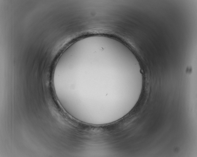 X0000113130631200909040933